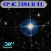 Cl* IC 2391      D      11