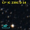 Cl* IC 2391      D      14