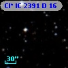 Cl* IC 2391      D      16