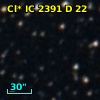 Cl* IC 2391      D      22