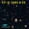 Cl* IC 2391      D      23