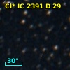 Cl* IC 2391      D      29