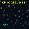 Cl* IC 2391      D      31