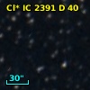 Cl* IC 2391      D      40