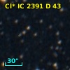 Cl* IC 2391      D      43