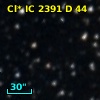 Cl* IC 2391      D      44