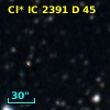 Cl* IC 2391      D      45