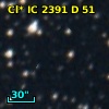 Cl* IC 2391      D      51