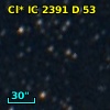Cl* IC 2391      D      53