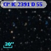 Cl* IC 2391      D      55