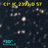 Cl* IC 2391      D      57