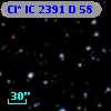 Cl* IC 2391      D      58