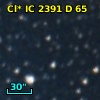 Cl* IC 2391      D      65