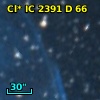 Cl* IC 2391      D      66