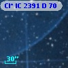 Cl* IC 2391      D      70