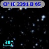 Cl* IC 2391      D      85