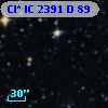 Cl* IC 2391      D      89