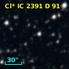 Cl* IC 2391      D      91