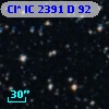 Cl* IC 2391      D      92