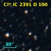 Cl* IC 2391      D     100