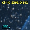 Cl* IC 2391      D     101