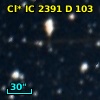Cl* IC 2391      D     103