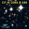 Cl* IC 2391      D     104