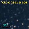 Cl* IC 2391      D     106
