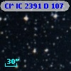 Cl* IC 2391      D     107