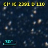 Cl* IC 2391      D     110