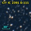 Cl* IC 2391      D     111