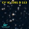 Cl* IC 2391      D     113