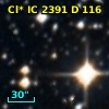 Cl* IC 2391      D     116