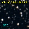 Cl* IC 2391      D     117