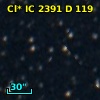 Cl* IC 2391      D     119