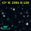 Cl* IC 2391      D     120