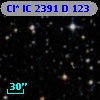 Cl* IC 2391      D     123