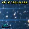 Cl* IC 2391      D     124