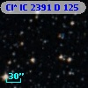 Cl* IC 2391      D     125