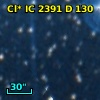 Cl* IC 2391      D     130