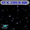 Cl* IC 2391      D     160