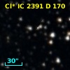 Cl* IC 2391      D     170