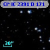 Cl* IC 2391      D     171