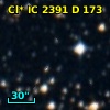Cl* IC 2391      D     173