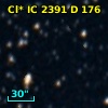Cl* IC 2391      D     176