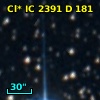 Cl* IC 2391      D     181