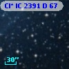 Cl* IC 2391      D      67