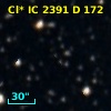 Cl* IC 2391      D     172