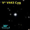 V* V443 Cyg