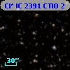 Cl* IC 2391   CTIO       2